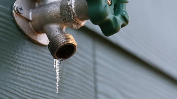 Best Clogged Drain Plumber  in Hilbert, WI